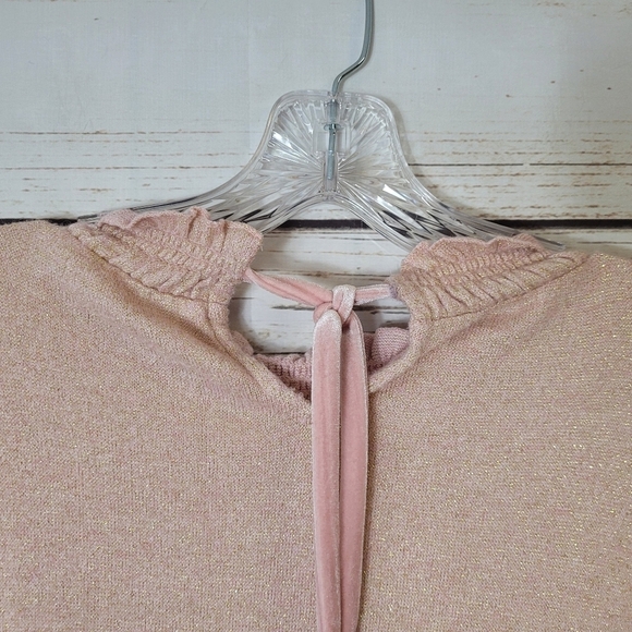 Talbots Plus Tie Back Smocked Top Size 1X Blush/Gold Metallic - Picture 7 of 8